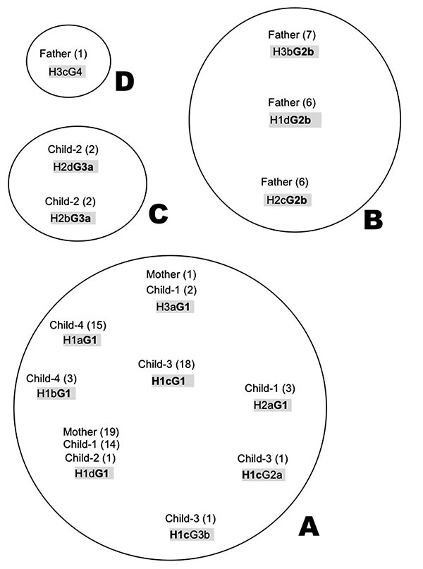 Multilocus sequence typing (MLST) analysis of family isolates. Clonal complexes were defined according to the alleles found associated with the highest number of different combinations among family strains. The names of clones are indicated by a letter: A, B, C or D. Alleles in bold are shared.