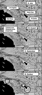 Thumbnail of Introduction of West Nile virus into California. Panels show the locations of positive mosquito pools, sentinel chicken flocks with &gt;1 seroconversion, and positive dead birds during each month. Encircled in panel D are the locations of the three foci studied in depth during 2003.