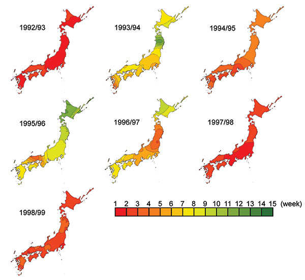 Timing of peak influenzalike illness epidemic activity by week in Japan. The isobars on the contour maps represent interpolated time of peak activity distributed spatially at 1-week intervals. The first week was defined when the peak week was observed first in any one of the prefectures in each season, and then the following weeks were numbered.