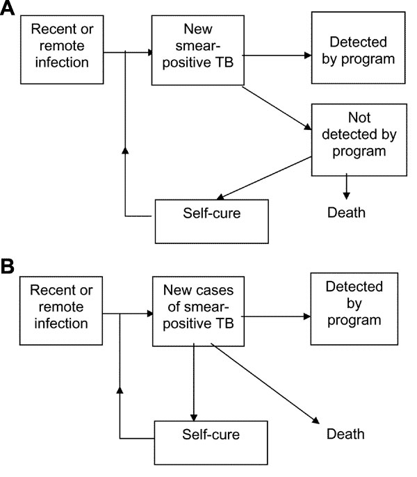 Appendix Figure 2 New Measurable Indicator For Tuberculosis Case 