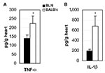 Thumbnail of Proinflammatory cytokines are increased in the hearts of susceptible mice during acute myocarditis. Susceptible BALB/c mice were compared to resistant C57BL/6 mice for the level of cytokines tumor necrosis factor (TNF)-α (A) and interleukin (IL)-1β (B) in heart homogenates 12 days after CB3 infection. Data are represented as the mean ± standard error of the mean. *p &lt; 0.05.