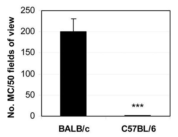 Mast cells are increased in the spleens of susceptible BALB/c mice 6 hours after CB3 infection. Data are represented as the mean ± standard error of the mean. ***, p &lt; 0.001. Modified from (33).