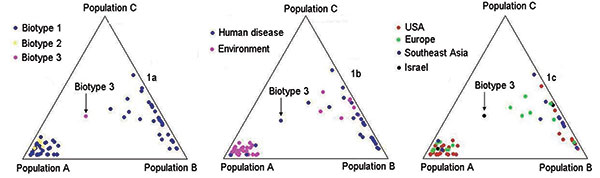 Triangle plots of STRUCTURE results. Only 2 populations were identified (A and B). Figure 1A shows the distribution of the biotypes within the 2 populations. B shows the distribution of the strains according to their source (human or environmental). C shows the strains distribution according to their geographic origin. These results were produced by the linkage model of STRUCTURE with K = 3.