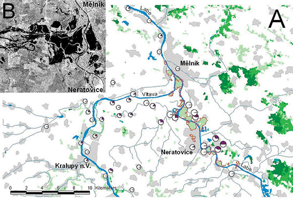 A), Potential foci of mosquitoborne viruses in the Mělník area. Floodplain forests identified on the Landsat MSS satellite images (dotted red line), with hydrology and settlement in background (DMU-200, VTOPÚ Dobruška), and proportion of Tahya virus seropositive residents at particular localities (large, medium, and small circles indicate the risk zones A, B, and C, respectively). B) [inset], radar satellite image of the conflux of the Labe and Vltava Rivers on August 17, 2002 (2 days after the