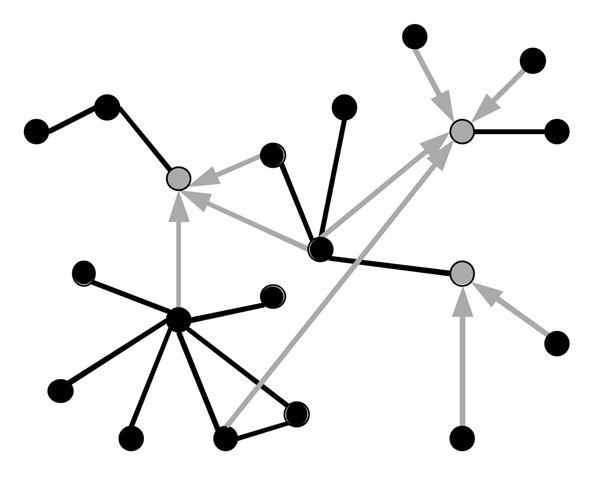 Schematic diagram of a directed network. Each black vertex represents a member of the general population; gray vertexes represent healthcare workers.