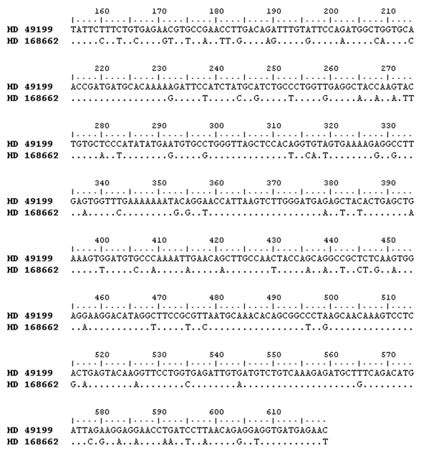 Comparison of partial sequences (465 base pairs) of the S segment of Crimean-Congo hemorrhagic fever virus isolated in Mauritania. The BLAST tool was used and positions of nucleotides in the entire S segment are shown. The strain HD 168662, which is representative of human isolates obtained from this study, shows 82.1% nucleotide identity with the strain HD 49199, isolated from a human case-patient in Mauritania in 1988.