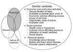 Thumbnail of Framework on gender variables developed by the World Health Organization Special Programme for Research and Training in Tropical Diseases.