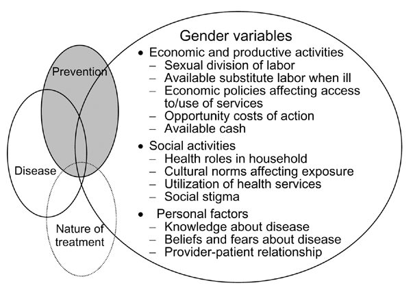Framework on gender variables developed by the World Health Organization Special Programme for Research and Training in Tropical Diseases.