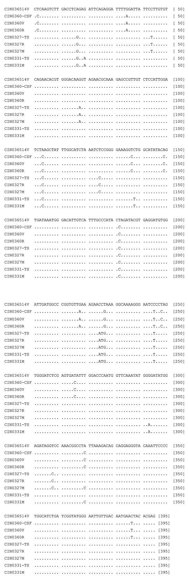 Partial G gene nucleotide sequence alignment of 3 Chandipura viruses (CHPV) isolated during the outbreak along with the corresponding sequence derived from the clinical samples. For details on isolates, see Table 1. GenBank accession numbers for the sequences derived from clinical specimens and published earlier (1) are AY554407, AY554409, and AY554411.