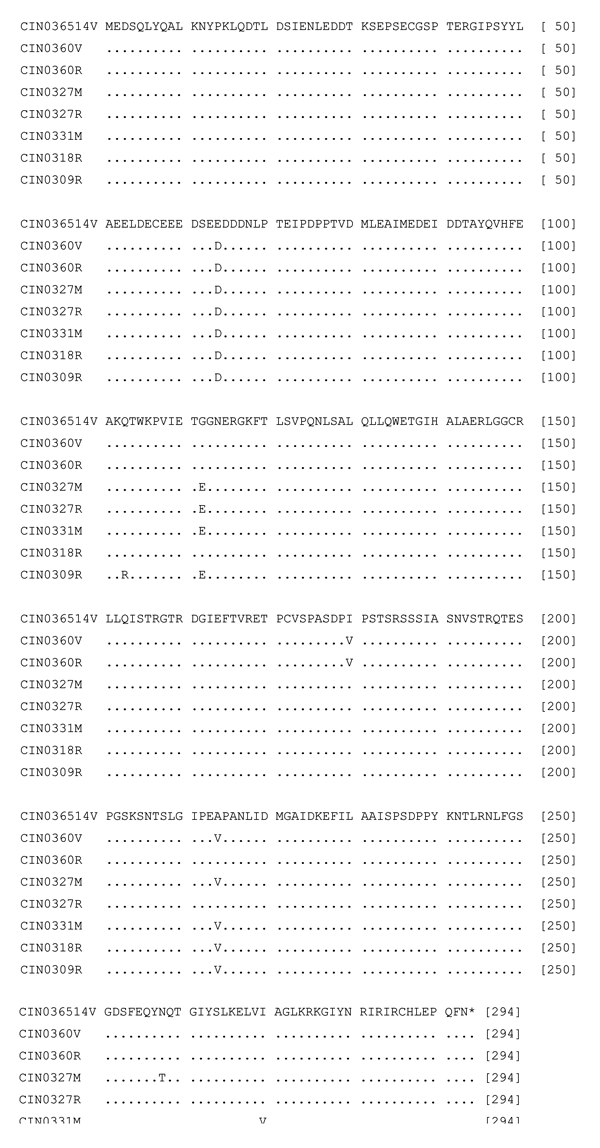 Alignment of the deduced amino acid sequences of the P protein of different isolates of Chandipura virus. For details on isolates, see Table 1.