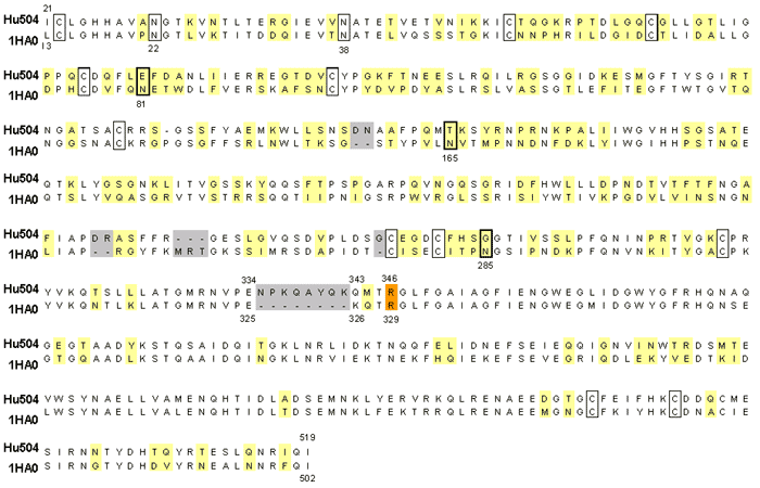 Complete nucleotide (A) and protein (B) alignments from the 5 isolates sequenced in this study. The alignments were generated by ClustalX (1.82) (http://www.embl.de/~chenna/clustal/darwin/). [A/Canada/AVFV1/04 (environmental) is designated as chicken_A; A/Chicken/Canada/AVFV2/04 is designated as chicken_B; A/Canada/444/04 (human) is human_A and A/Canada/504/04 (human) is human_B. Full sequenced segments for chicken_D and chicken_E, not described in the text, are included for completeness.