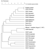 Thumbnail of Phylogenetic analysis of the positive stool sample, the 1987 effluent sample, and referenced norovirus strains based on 145 nt of the RNA-dependent RNA polymerase sequence.