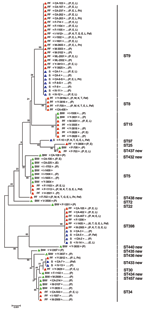 Thumbnail of Unrooted tree showing the phylogenetic relationships among Staphylococcus aureus isolates from pig farmers (PF), bank or insurance workers (BIW), and swine (S). The tree was obtained by the neighbor-joining method, based on the comparison of partial sequences of 7 housekeeping genes (arcC, aroE, glpF, gmk, pta, tpi, and yqiL). Values (in percentages) above the lines indicate how the tree's branches are supported by the results of bootstrap analysis. Scale bar = accumulated changes p