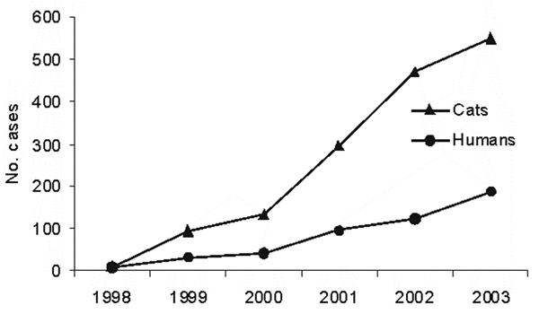 Number of human and feline cases of sporotrichosis diagnosed at the Instituto de Pesquisa Clínica Evandro Chagas, Rio de Janeiro, Brazil, 1998–2003.