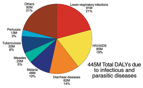 Leading causes of disability life years (DALYs) due to infectious and parasitic diseases. Lower respiratory infections, HIV/AIDS, diarrheal diseases, and malaria are among the infectious diseases that contribute to the most DALYs lost each year throughout the world (6).