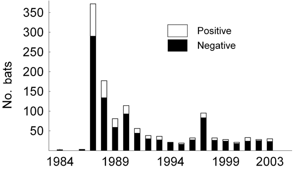 Number of submitted and lyssavirus antigen–positive samples from serotine bats, Eptesicus serotinus, collected in the Netherlands during the survey (1984–2003).