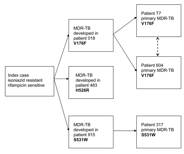 Suggested epidemiologic relationship between 6 cases of multidrug-resistant tuberculosis (MDR-TB). Resistance to rifampicin developed in patients 018, 483, and 915 while on therapy, whereas patients T7, 604, and 317 contracted primary MDR-TB. The type of mutation present in each patient's strain of MDR-TB is highlighted in bold.