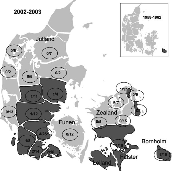 Distribution of tickborne encephalitis (TBE)-complex virus–positive state forest districts (dark shading) in Denmark, 2002–2003 vs. 1958–1962. Numerators indicate number of TBE-complex virus–positive roe deer; denominators indicate number of deer tested.
