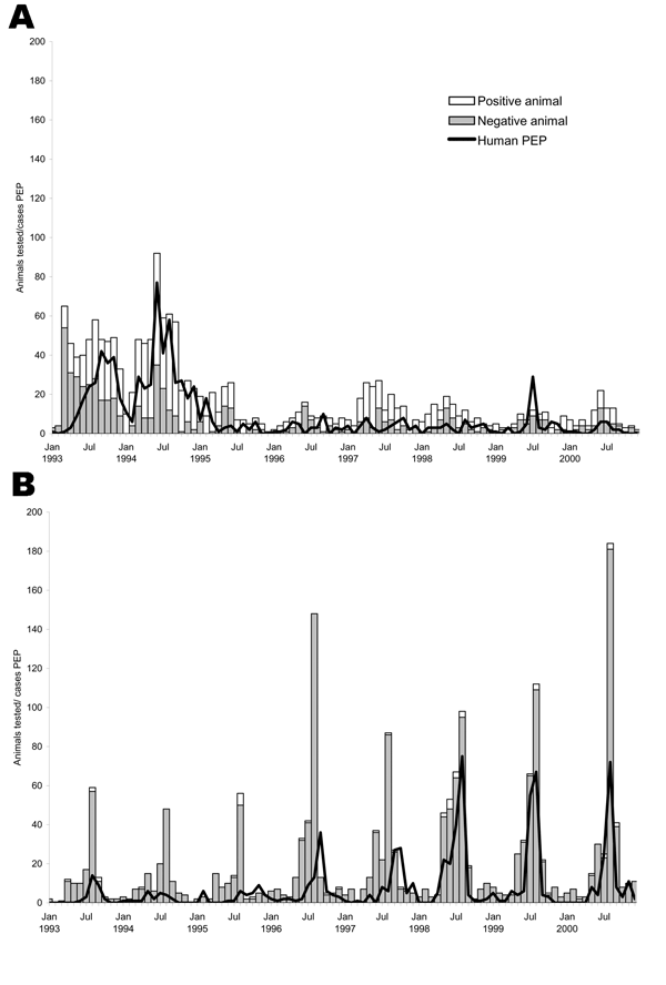 Human rabies postexposure prophylaxis (PEP) associated with raccoon (A) or bat (B) exposures and the number of raccoons or bats that tested positive or negative for rabies, 4 upstate New York counties (Cayuga, Monroe, Onondaga, and Wayne), 1993–2000.