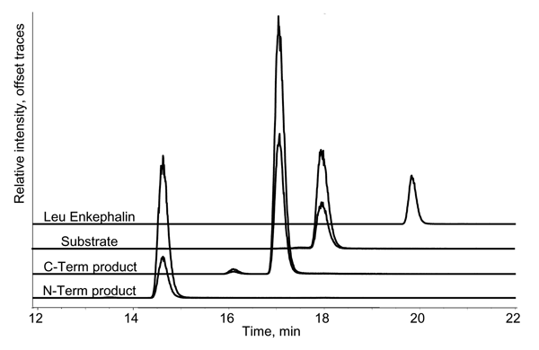 High-performance liquid chromatography–electrospray ionization-tandem mass spectrometry chromatogram showing the botulinum neurotoxin (BoNT)-A substrate and product ions (CT, C-terminal; NT, N-terminal) from a reaction with 25 mouse lethal dose (MLD)50 BoNT-A. Each peptide has both a quantification ion (top trace) and a verification ion (lower trace). Isotopically labeled standards are added (traces not shown) as internal standards for quantification. The labeled peptides co-elute with their non