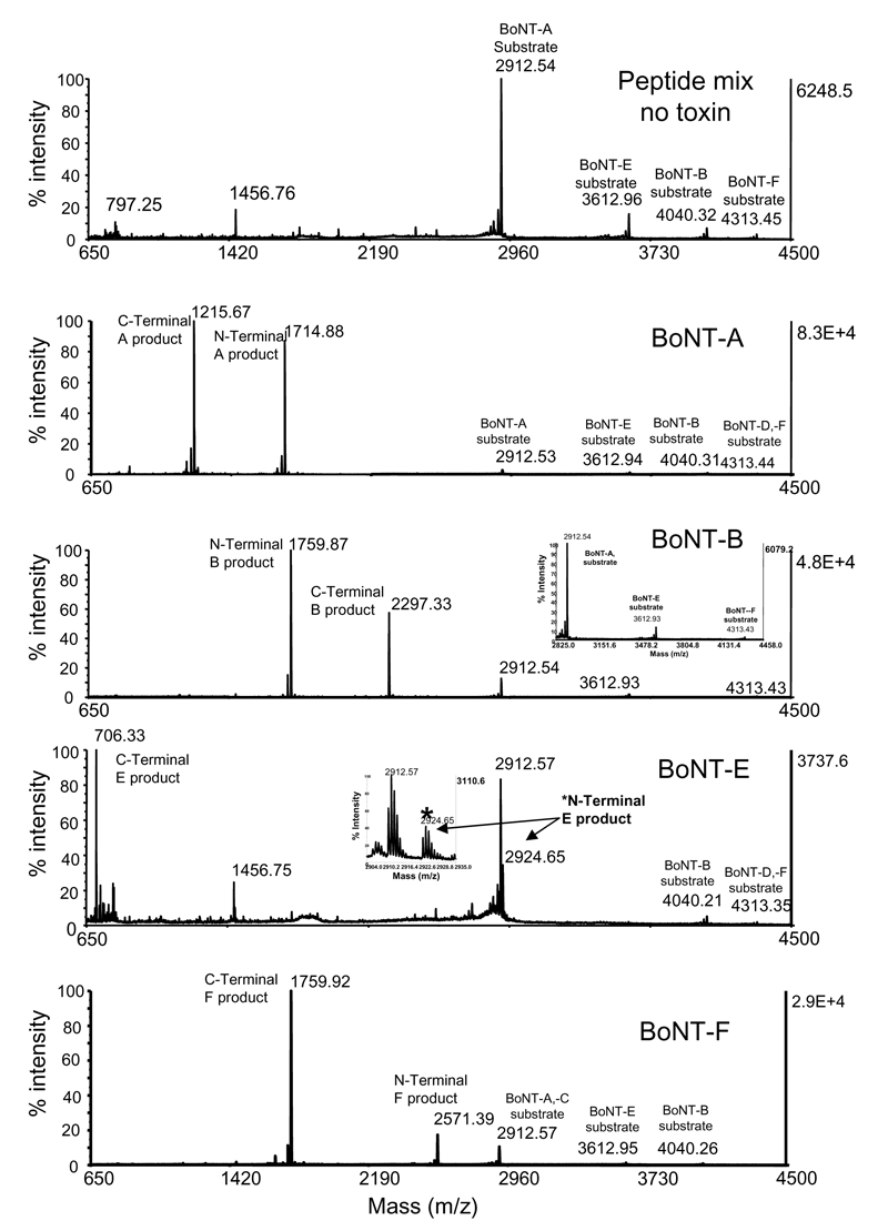Matrix-assisted laser desorption time-of-flight mass spectrometry (MALDI-TOF-MS) spectrum of botulinum neurotoxin (BoNT) reactions. The top panel shows the MALDI-TOF-MS spectrum of the mixture of substrate peptides with no toxin present. The second panel shows this same mixture of substrate peptides and BoNT-A. The third, fourth and fifth panels show the mixture of substrate peptides with BoNT-B, -E, and –F, respectively. The insert mass spectrum for BoNT-E distinguishes the BoNT-dependent N-ter