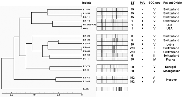 Analysis of genotyping patterns, multilocus sequence typing (ST) results, presence of Panton-Valentine leukocidin (PVL), staphylococcal cassette chromosome mec (SCCmec) type, and country of patient origin of 13 community-associated, methicillin-resistant Staphylococcus aureus isolates (CA-MRSA). The dendrogram illustrates the genetic relatedness of the 13 CA-MRSA in comparison to 1) 2 nosocomial MRSA isolates representing the prevailing endemic strain in the Geneva healthcare setting (strains B5