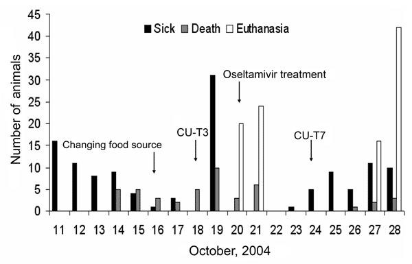 Numbers of sick, dead, or euthanized tigers during the outbreak. The animals were fed cooked chicken carcasses or pork after October 16, 2004. Isolates from the sick tigers, pre- and posttreated with oseltamivir, were A/Tiger/Thailand/CU-T3/04 (October 18) and A/Tiger/Thailand/CU-T7/04 (October 24).