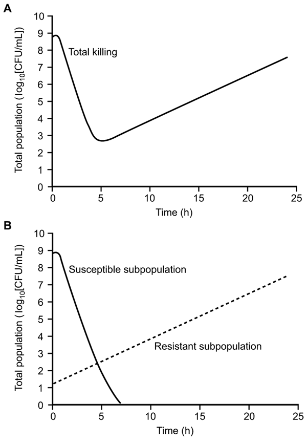 Killing pattern for a fluoroquinolone against Pseudomonas aeruginosa that illustrates how the initial decline and subsequent regrowth observed in the total number of colony-forming units (A) represent the sum of a decline in the susceptible subpopulation and the uninhibited growth of a resistant subpopulation (B).
