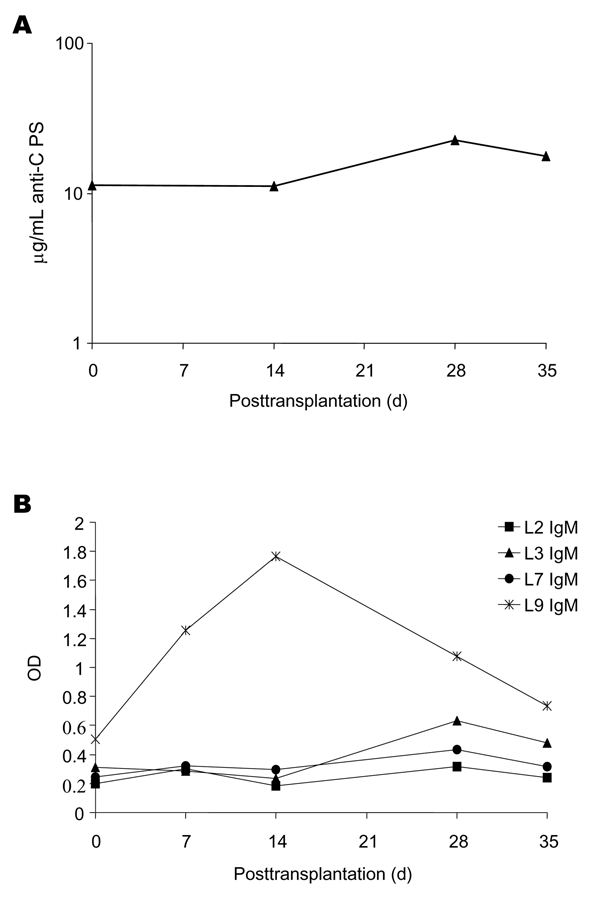 Pre- and posttransplantation serum antibodies as measured by enzyme-linked immunosorbent assay (ELISA). A) Immunoglobulin (Ig) G antibodies to Neisseria meningitidis serogroup C capsular polysaccharide (CPS) determined as described by Arakere and Frasch (7) with minor modifications. Samples were run in duplicate at 8 serial dilutions, and antibody concentrations were calculated relative to the standard reference serum lot CDC 1992 (courtesy of G. Carlone, Centers for Disease Control and Preventi