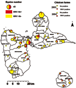 Thumbnail of Results of West Nile virus (WNV) serosurveys in chickens and equines in Guadeloupe, 2003–2004. Equine centers are represented by circles, the sizes of which are proportional to the numbers of equines. The proportion of WNV-seropositive animals is represented in red. Chicken farms are represented by triangles (pointing down for 2003 survey, pointing up for 2004 survey). Red triangles denote farms where at least 1 seropositive chicken was identified. All other farms are denoted by yel