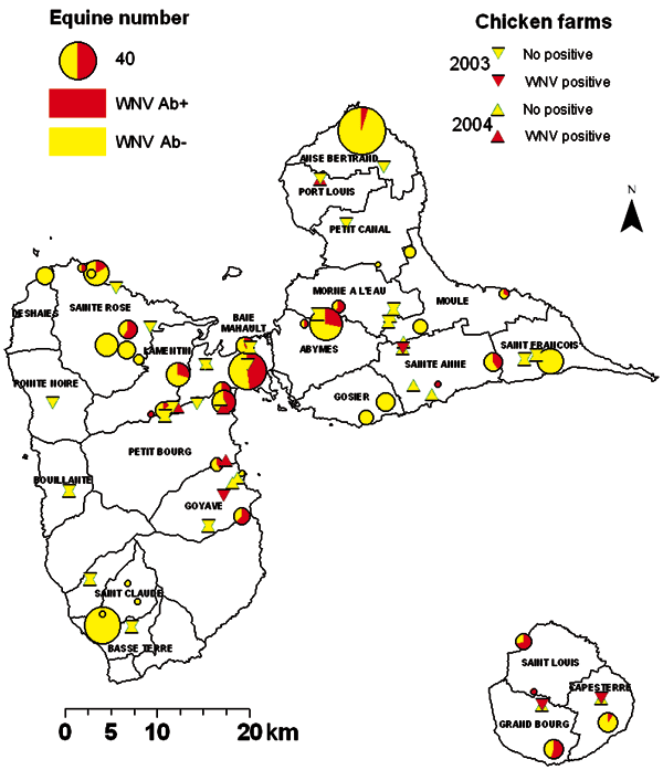 Results of West Nile virus (WNV) serosurveys in chickens and equines in Guadeloupe, 2003–2004. Equine centers are represented by circles, the sizes of which are proportional to the numbers of equines. The proportion of WNV-seropositive animals is represented in red. Chicken farms are represented by triangles (pointing down for 2003 survey, pointing up for 2004 survey). Red triangles denote farms where at least 1 seropositive chicken was identified. All other farms are denoted by yellow triangles