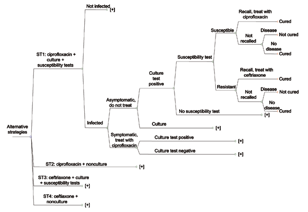 The 4 strategies; + denotes "truncated" branch; GC, gonorrhea.