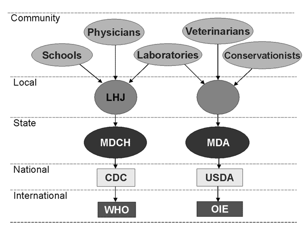 Comparison of Michigan human and animal disease reporting system structures. LHJ, Local Health Jurisdiction; MDCH, Michigan Department of Community Health; CDC, Centers for Disease Control and Prevention; WHO, World Health Organization; MDA, Michigan Department of Agriculture, Animal Plant Health Inspection Service, Veterinary Services; USDA, US Department of Agriculture; OIE, Office International Epizooties.