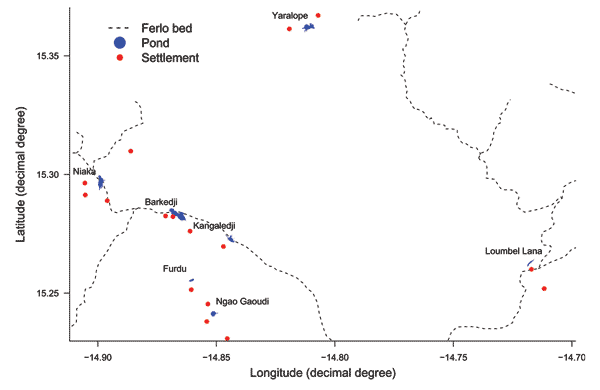 Location of ponds and settlements for the study of Rift Valley fever serologic incidence in 610 small ruminants during the 2003 rainy season in the Barkedji area, Senegal.