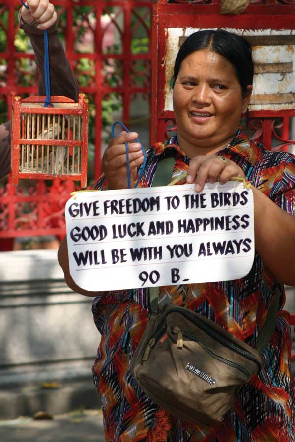 Vendor selling wild-caught birds for release at a religious shrine in Thailand. (Photo by W.B. Karesh.)