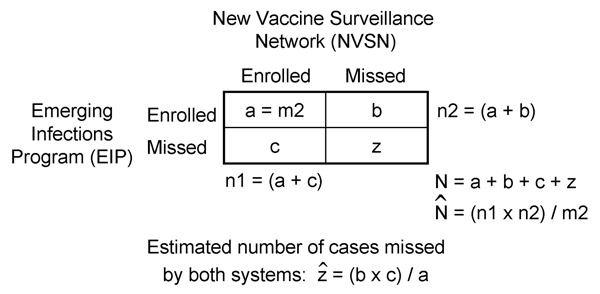 Capture-recapture estimation using data from 2 independent sources. The first surveillance system (New Vaccine Surveillance Network [NVSN]) captured n1 cases. The second system (Emerging Infections Program [EIP]) captured n2 cases, including m2 cases already captured by NVSN (matched cases). The Peterson estimator of N (total cases) is [[INLINEGRAPHIC('05-0308-M1')]]= n1 × n2/m2. The Peterson estimate implies that the estimated number of cases missed by both systems (z) = (b × c)/(a); where b is
