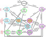 Thumbnail of Flow chart of the different categories and flows considered in our model system. For simplicity, we considered 1 type of treatment when analyzing the effects of an increase in high-risk behavior and treatment delay. When considering the effects of overall change in treatment strategy, all categories and flows were included in the analysis. Abbreviations: m, mortality (composed of background deaths for all categories, and for persons in the chronic phase of infection, HIV-related dea