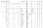 Thumbnail of Molecular characterization (pulsotype, MLST, SCCmec, PVL) of 90 ciprofloxacin/gentamicin/SXT-susceptible methicillin-resistant Staphylococcus aureus isolates from Taiwan hospitals in 2000 and 2002. Pulsotype, pulsed-field gel electrophoresis type; MLST, multilocus sequence typing (MLST) result in sequence type (ST); SCCmec, staphylococcal cassette chromosome mec type; PVL, Panton-Valentine leukocidin; (No.) following pulsotype and MLST results indicates the number of isolates if &gt