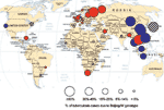 Thumbnail of Distribution of Beijing genotype tuberculosis (TB). Size of circle indicates percentage of TB cases due to Beijing genotype; color in circle indicates drug sensitivity and distribution trend. Blue, pattern 1 (stable, no association with drug resistance); red, pattern 2 (increasing, associated with drug resistance); green, pattern 3 (increasing, drug sensitive); yellow, pattern 4 (absent); striped, trend or association with drug resistance not known.