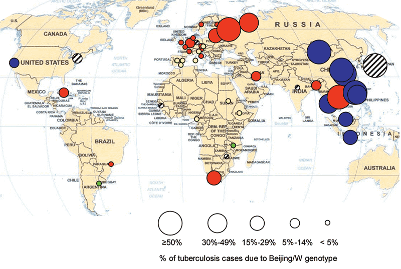 Distribution of Beijing genotype tuberculosis (TB). Size of circle indicates percentage of TB cases due to Beijing genotype; color in circle indicates drug sensitivity and distribution trend. Blue, pattern 1 (stable, no association with drug resistance); red, pattern 2 (increasing, associated with drug resistance); green, pattern 3 (increasing, drug sensitive); yellow, pattern 4 (absent); striped, trend or association with drug resistance not known.
