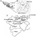 Thumbnail of Study site in Mexico. A) Country of Mexico. B) State of Mexico. C) Southern part of the State of Mexico. Shown are the municipalities and villages in the State of Mexico where epidemiologic serosurveys were conducted.