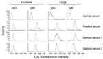 Thumbnail of Detection of antibodies to Trypanosoma cruzi by immunofluorescence flow cytometry. Fluorescein isothiocyanate fluorescence intensities for T. cruzi–specific immunoglobulin G (IgG) and IgM antibodies in human and dog serum samples are shown. Background staining with normal serum, positive staining with chronic serum, and representative staining with 2 of the test serum samples are shown.