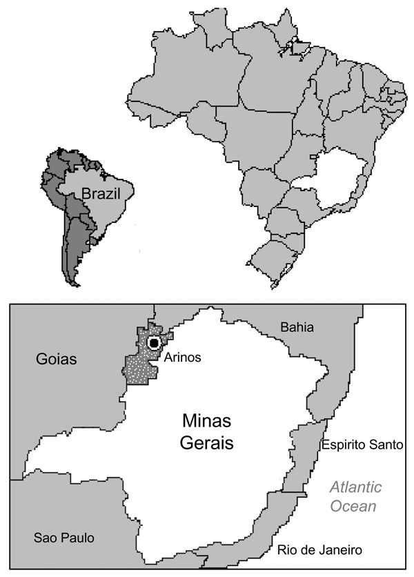 Map of the Arinos region, where the strain BeAN 626998 was isolated from a sylvatic monkey of the genus Callithrix.