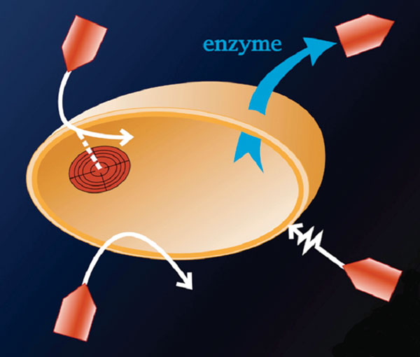 Schematic representation of mechanisms of resistance to antimicrobial agents.