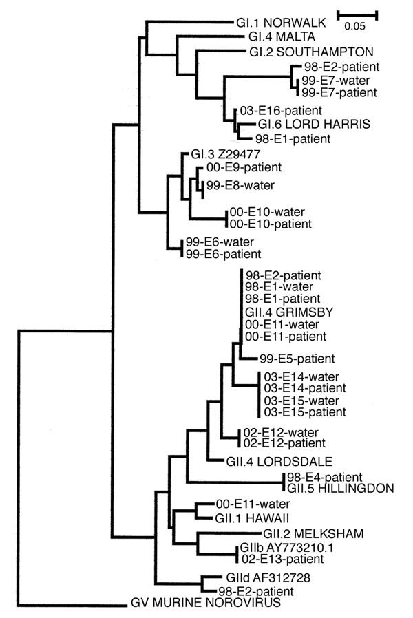 Phylogenetic trees derived from 28 norovirus nucleotide sequences from the polymerase region. The nucleotide sequences were from 10 water and 18 patient samples of 14 outbreaks. Trees were constructed by using the neighbor-joining method with the ClustalW software package. Scale indicated by bars. Branch lengths are related to degree of divergence between sequences.