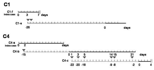 Contact events and incubation period of hantavirus pulmonary syndrome patients, Argentina, 2002. One line was drawn per case for C1 and C4; dotted lines represent the incubation period since the established moment of contact between contiguous case-patients. The onset of illness for each patient is indicated by day 0. Triangles indicate contacts between patients. | | indicates day of death.