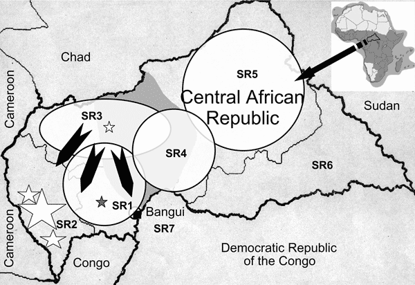 Supplementary immunization activities (SIA) areas, military conflicts, and migration movements, Central African Republic, 2001–2004. Gray star indicates first case of wild poliovirus type 1, Ombella-M'Poko (SR1), 2003; white stars indicate 2004 cases (1 in Ouham [SR3], 3 in Nana-Mambere [SR2], 3 in Sangha-Mbaere [SR2], and 23 in Mambere-Kadei [SR2]); circles indicate SIA areas, March–April 2004; arrows indicate 2001–2003 migration; dark gray shading indicates military conflict areas, 2001–2003.