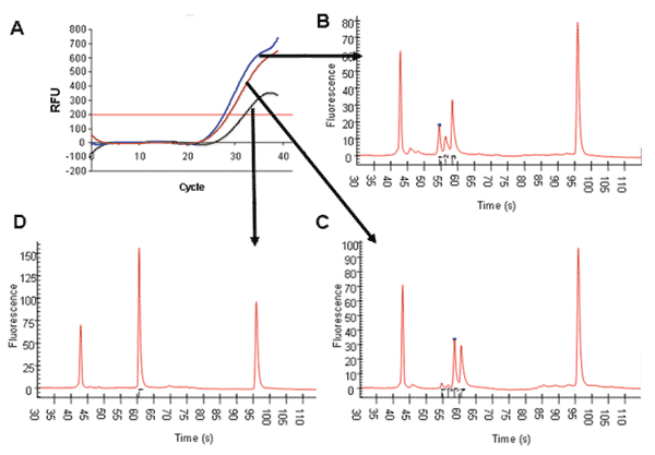 Use of capillary electrophoresis to identify multiple genotypes within single allotypes amplified by real-time polymerase chain reaction. Panel A shows the relative fluorescence values for 3 samples from infected patients by using primers specific for the K1 allotype of merozoite surface protein 1 (msp1). Panels B, C, and D show that those samples contained 3, 4, and 1 different K1 genotype parasites, respectively, identified by amplicons of 106, 124, and 142 bp (panel B), 105, 124, 142, and 160