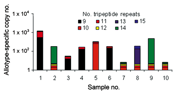 Copy numbers for genotypes of the K1 allotype in 10 field samples. Distribution of K1 genotypes within the 8 patients whose samples yielded amplicons with K1-specific primers (Table 4). These results indicate that most infected persons had &gt;2 allotypes. In addition, persons with K1 allotype parasites had a high degree of genotypic complexity, that is, capillary electrophoresis showed up to 4 distinct K1 genotypes in the blood of individual patients at the same time.