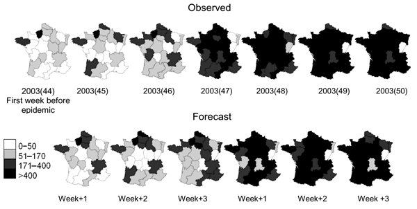 Evolution of regional influenzalike illness (ILI) incidence during the 2003–04 epidemic. The observed maps (first line) were constructed by using data from the French Sentinel Network. The forecast maps (for the first 6 epidemic weeks) 1, 2, and 3 weeks ahead show the results of the regional models when medication sales are used. The forecast horizon is indicated below each map. For example, for 2003(49), ILI predicted incidence is calculated by employing the model with data until week 47 of yea